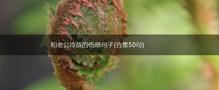 和老公冷战的伤感句子(合集50句),第1张