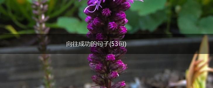 向往成功的句子(53句),第1张