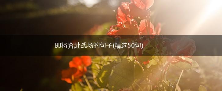 即将奔赴战场的句子(精选50句),第1张