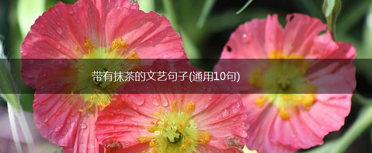 带有抹茶的文艺句子(通用10句),第1张