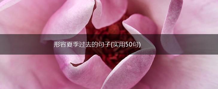 形容夏季过去的句子(实用50句),第1张