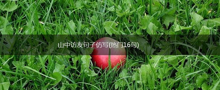 山中访友句子仿写(热门16句),第1张