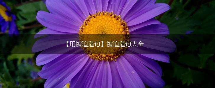 【用被迫造句】被迫造句大全,第1张