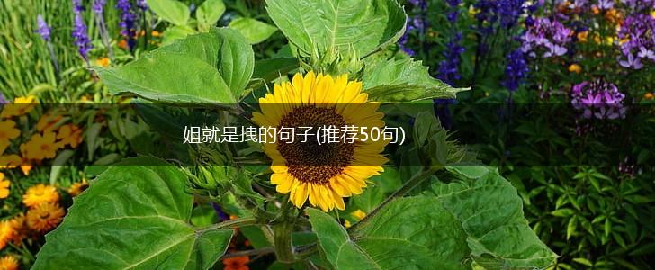 姐就是拽的句子(推荐50句),第1张