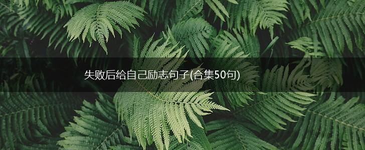 失败后给自己励志句子(合集50句),第1张