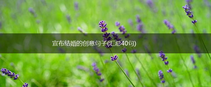 宣布结婚的创意句子(汇总40句),第1张
