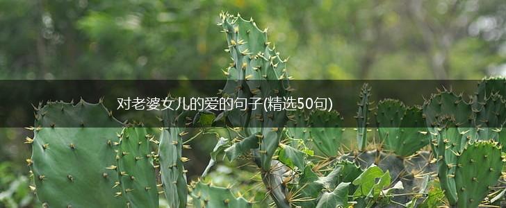 对老婆女儿的爱的句子(精选50句),第1张