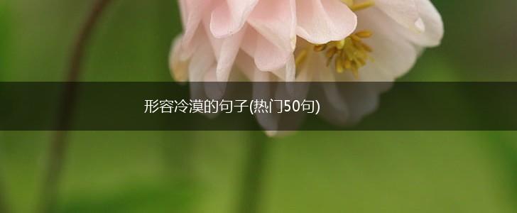 形容冷漠的句子(热门50句),第1张