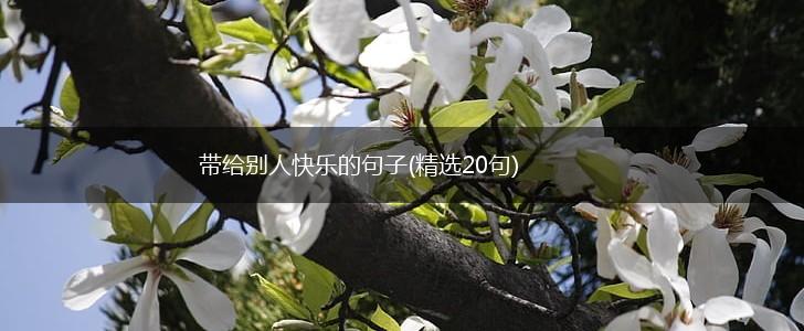 带给别人快乐的句子(精选20句),第1张