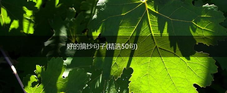 好的摘抄句子(精选50句),第1张