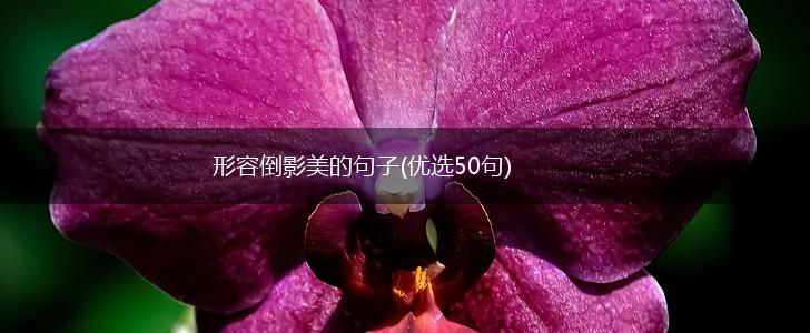 形容倒影美的句子(优选50句),第1张