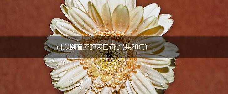 可以倒着读的表白句子(共20句),第1张