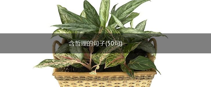 含哲理的句子(50句),第1张