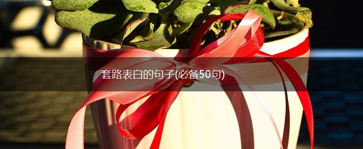 套路表白的句子(必备50句),第1张