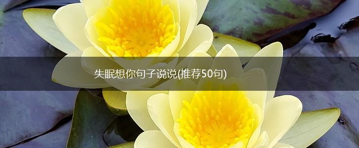 失眠想你句子说说(推荐50句),第1张