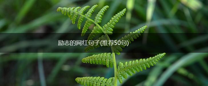 励志的网红句子(推荐50句),第1张