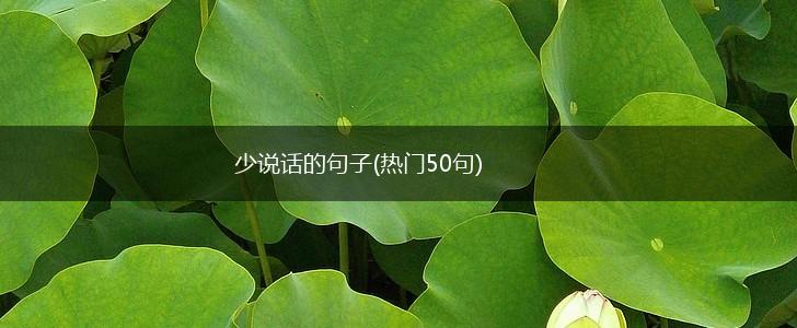 少说话的句子(热门50句),第1张