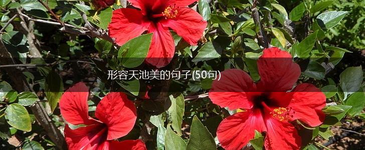 形容天池美的句子(50句),第1张