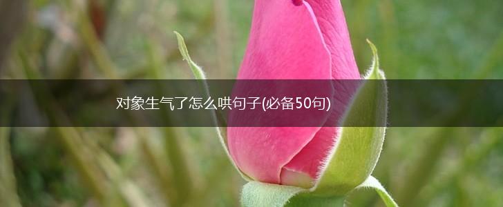 对象生气了怎么哄句子(必备50句),第1张