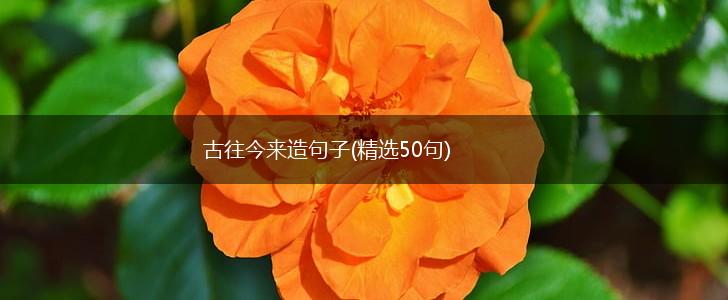 古往今来造句子(精选50句),第1张