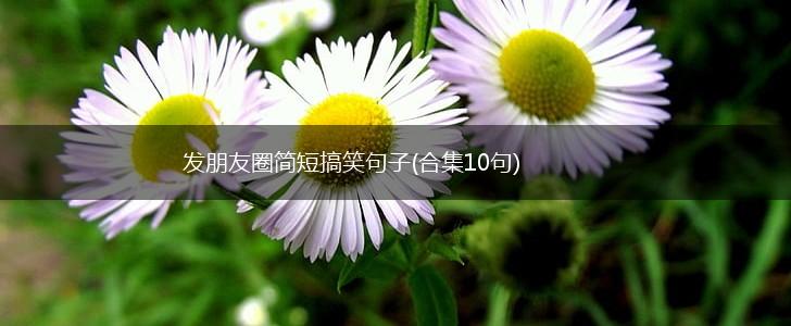 发朋友圈简短搞笑句子(合集10句),第1张