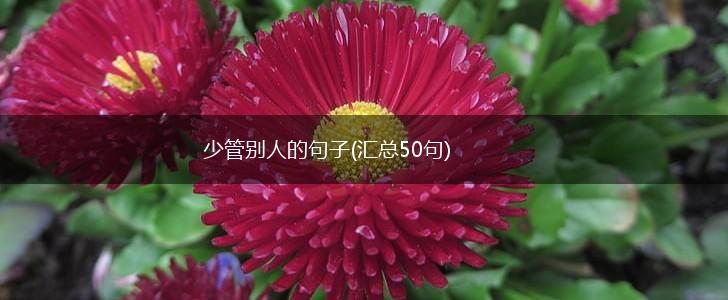 少管别人的句子(汇总50句),第1张