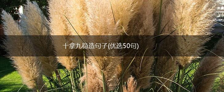 十拿九稳造句子(优选50句),第1张