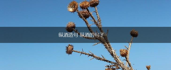 纵酒造句 纵酒的句子,第1张