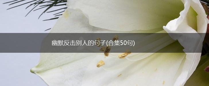 幽默反击别人的句子(合集50句),第1张