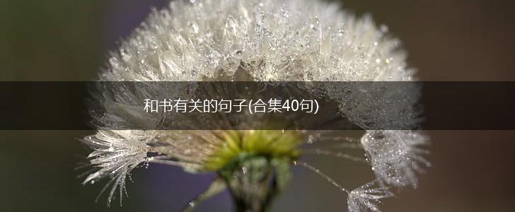 和书有关的句子(合集40句),第1张