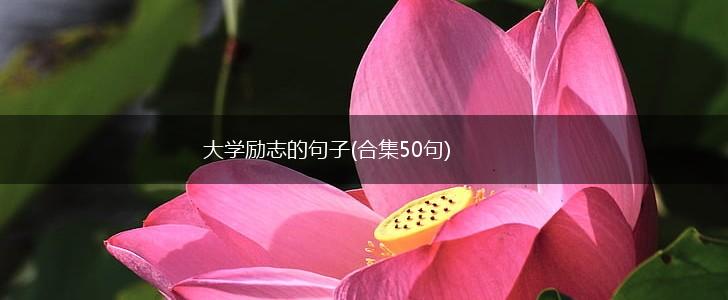 大学励志的句子(合集50句),第1张