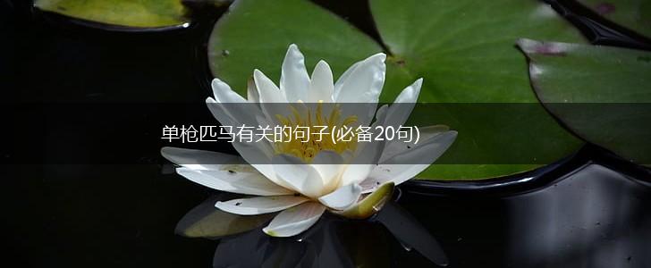 单枪匹马有关的句子(必备20句),第1张