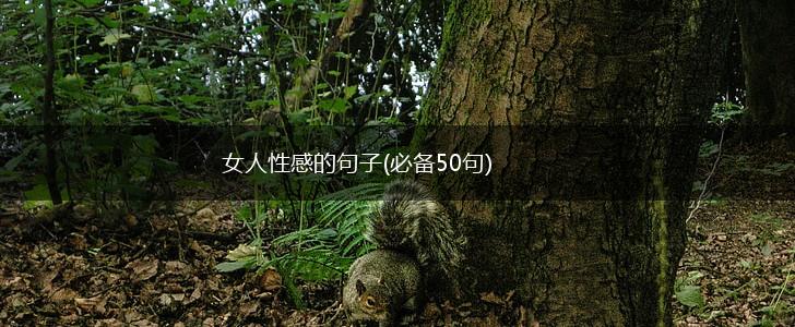 女人性感的句子(必备50句),第1张