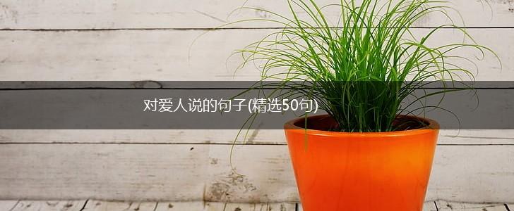 对爱人说的句子(精选50句),第1张