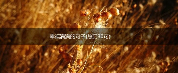 幸福满满的句子(热门30句),第1张