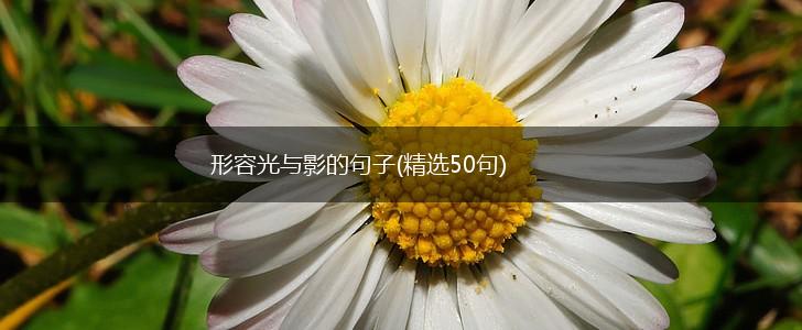 形容光与影的句子(精选50句),第1张