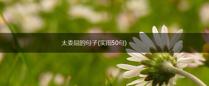 太委屈的句子(实用50句),第1张