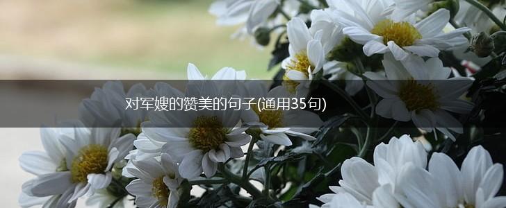 对军嫂的赞美的句子(通用35句),第1张