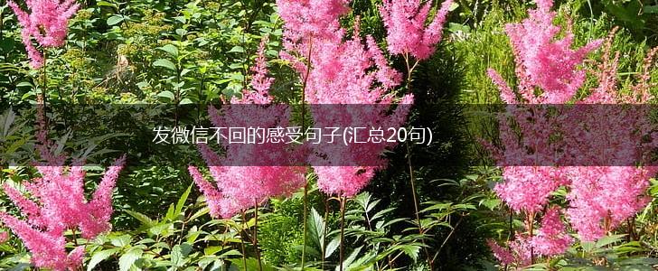 发微信不回的感受句子(汇总20句),第1张