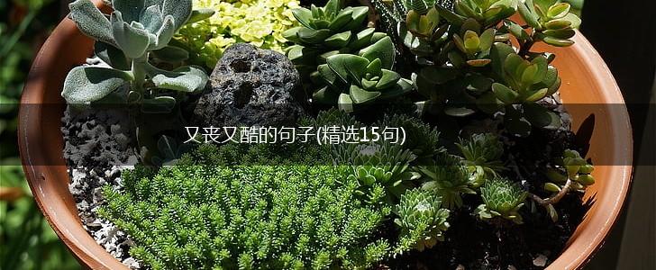 又丧又酷的句子(精选15句),第1张