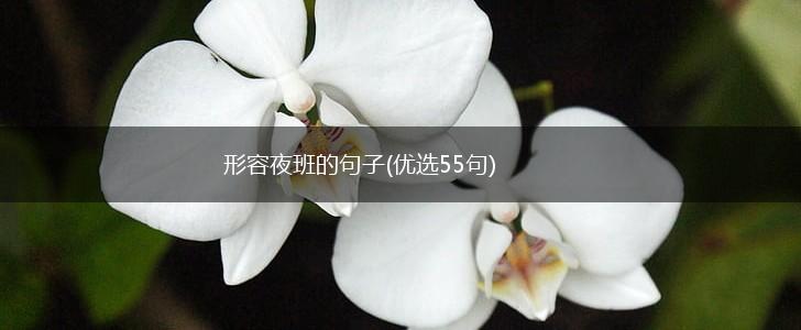 形容夜班的句子(优选55句),第1张
