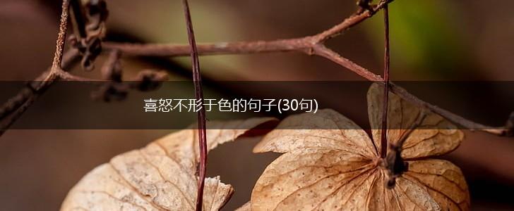 喜怒不形于色的句子(30句),第1张