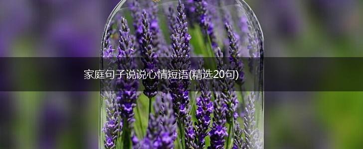 家庭句子说说心情短语(精选20句),第1张