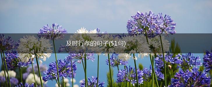 及时行孝的句子(51句),第1张