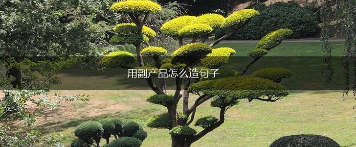 用副产品怎么造句子,第1张 用副产品怎么造句子,第1张