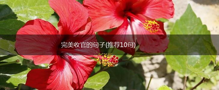 完美收官的句子(推荐10句),第1张