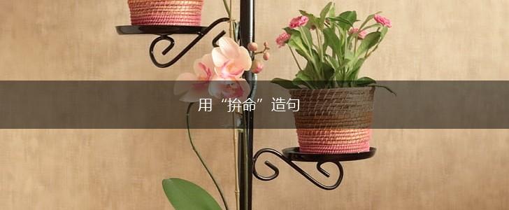 用“拚命”造句,第1张 用“拚命”造句,第1张