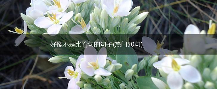好像不是比喻句的句子(热门50句),第1张