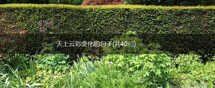 天上云彩变化的句子(共40句),第1张