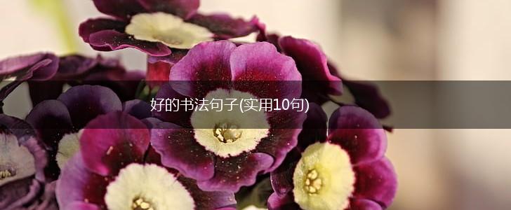 好的书法句子(实用10句),第1张